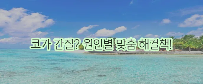 재채기 원인과 해결법 감기 알레르기 빛재채기까지 확실하게!
