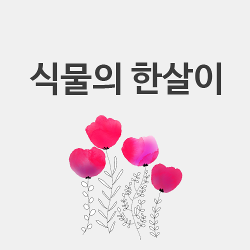  [초4 과학] 식물의 한살이 (떡잎과 배젖, 배 뜻은?)