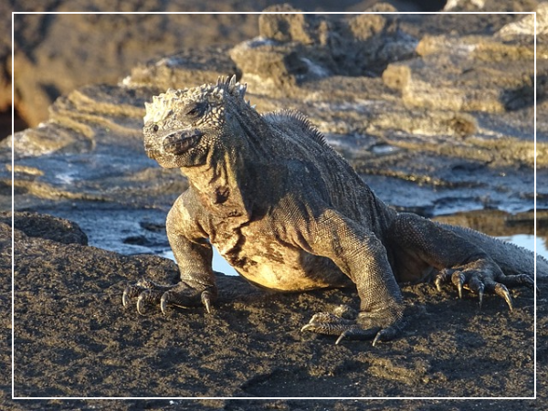 [세계 자연유산 여행 10 - 3