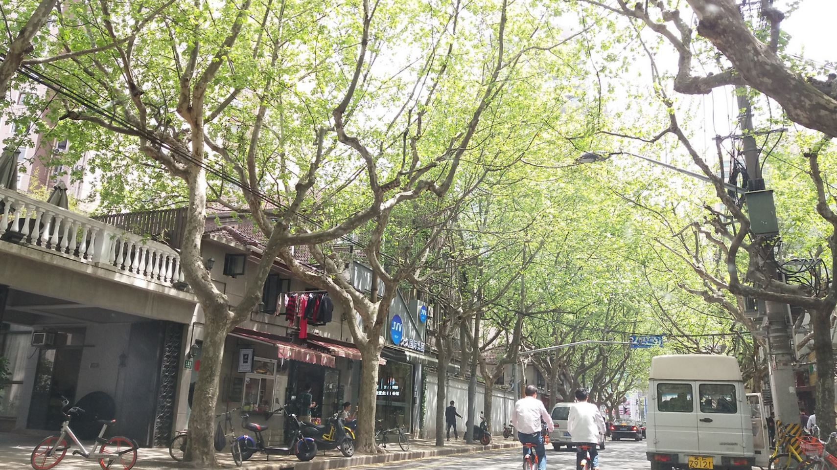 야진 이미지