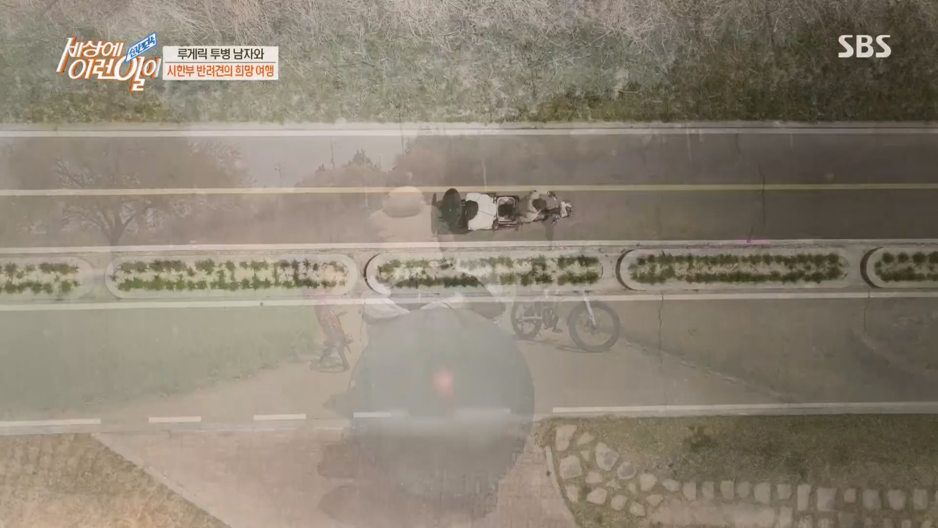 순간포착 세상에 이런일이.E1226.230418p.H264-F1RST.mp4_20230419_195518.846.jpg