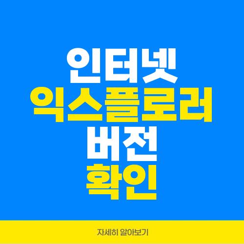 인터넷 익스플로러 버전 확인