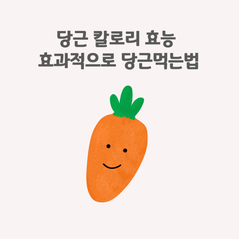 당근 칼로리 효능 효과적으로 당근먹는법