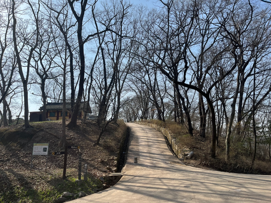 산책길1