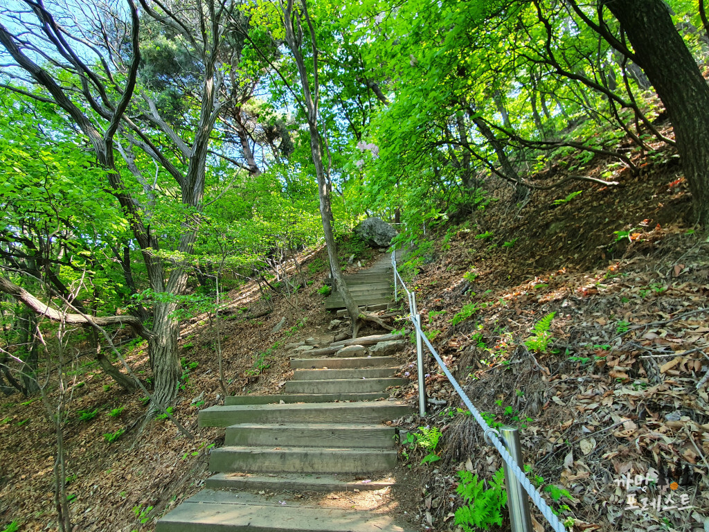 광교산 노루목