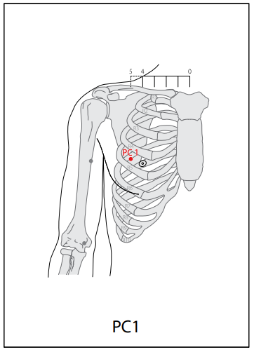 수궐음심포경(PC) > PC1 천지 (天池) 1