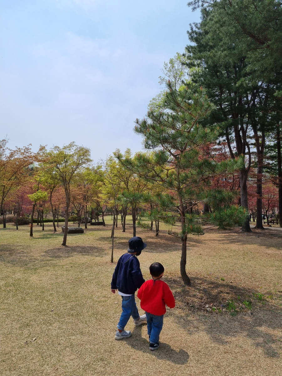 남이섬 배시간표 남이섬 배시간표, 할인 방법, 44