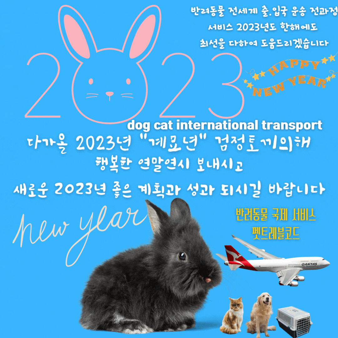  대형견해외운송 대형견항공케이지제작 대형견나무켄넬제작 대형견해외출국 대형견우드켄넬제작 대형견우드켄넬 대형견항공케이지제작 맹견케이지제작 동물케이지제작 동물이동케이지제..