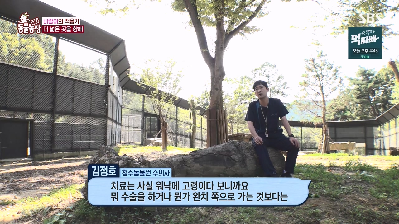 TV 동물농장.E1140.231009p-NEXT.mp4_20231008_174830.160.jpg