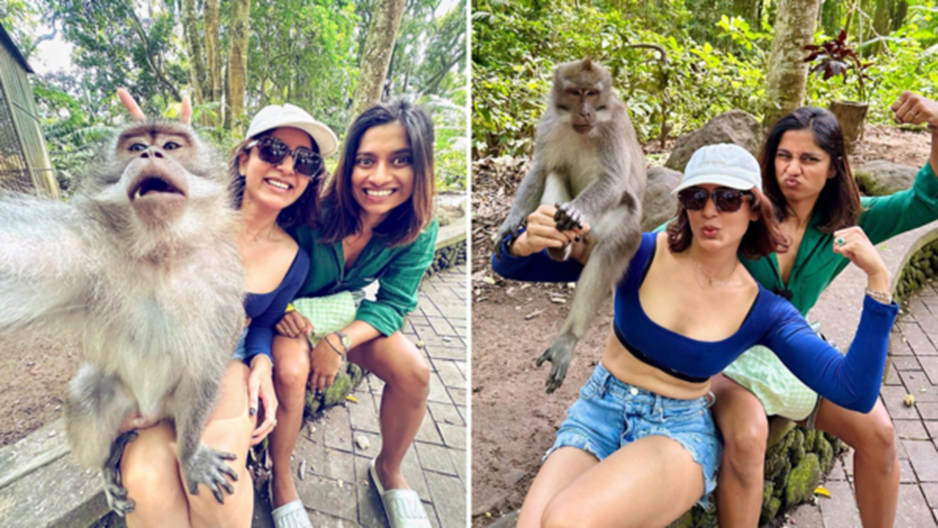 원숭이의 숲 말고 민가에서도 자주 보인다는 요즘 발리 여행 근황 | 인스티즈