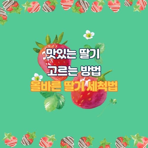 맛있는 딸기 고르는 방법과 올바른 딸기 세척법
