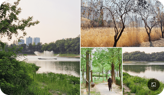 호암지 생태 공원 모습