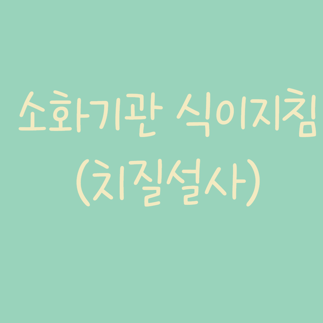 소화기관 식이지침 치질 설사 식이지침