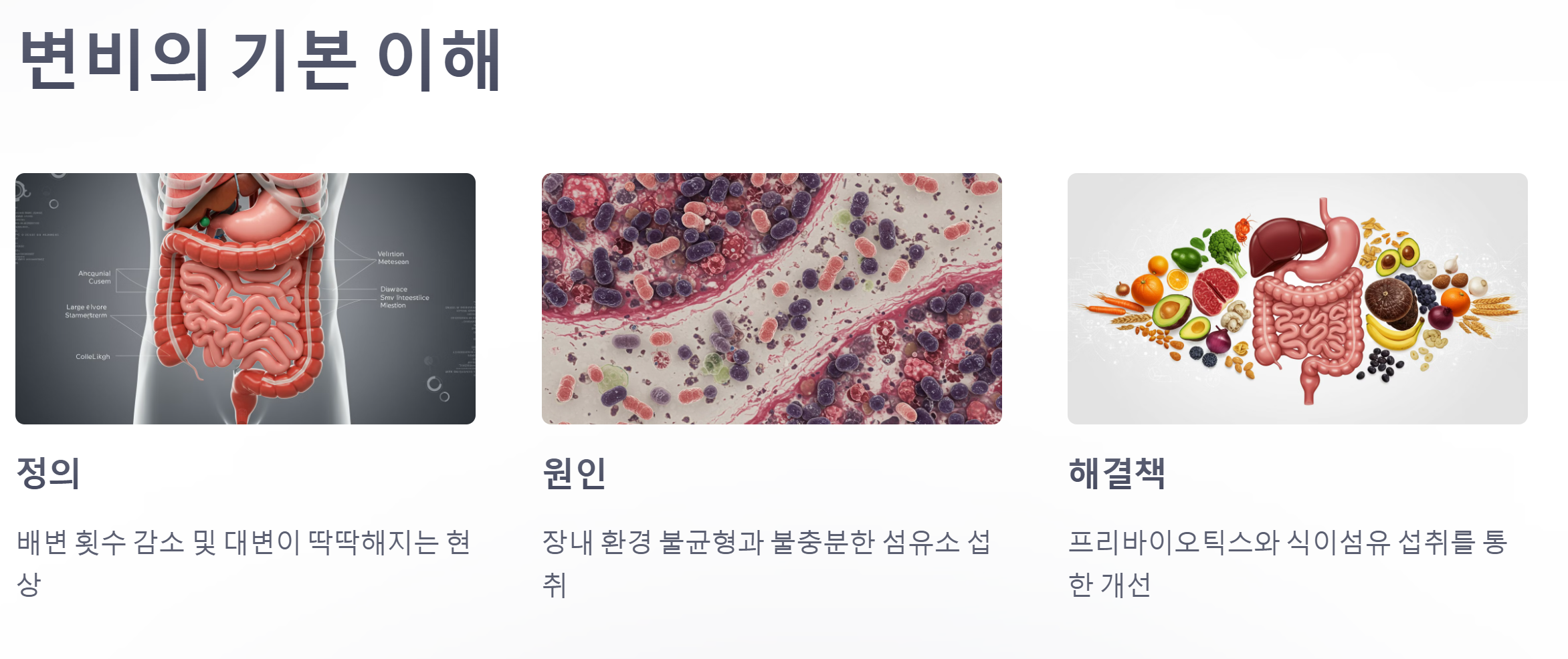 변비의 기본이해