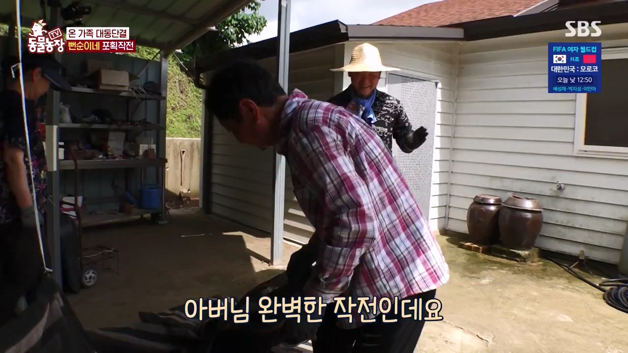 TV 동물농장.E1131.230731p-NEXT.mp4_20230730_190940.498.jpg