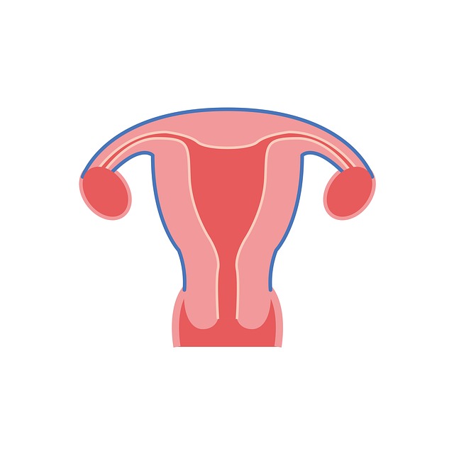  자궁경부암 원인 증상 치료 예방법 알아보기