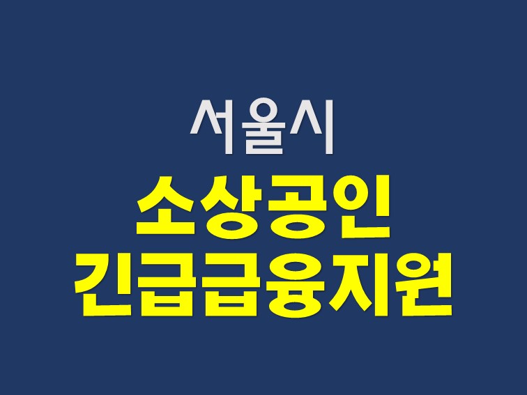  서울시 소상공인 긴급금융지원 신청과 고용유지지원금 지원