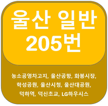  울산 205번 버스 노선정보(울산공항, 시청)