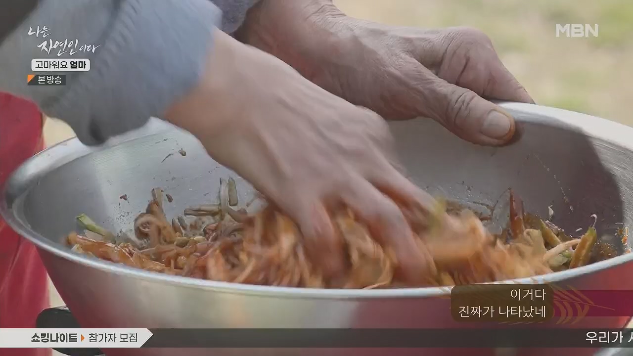 나는 자연인이다.E554.230518p.H264-F1RST.mp4_20230518_194523.139.jpg