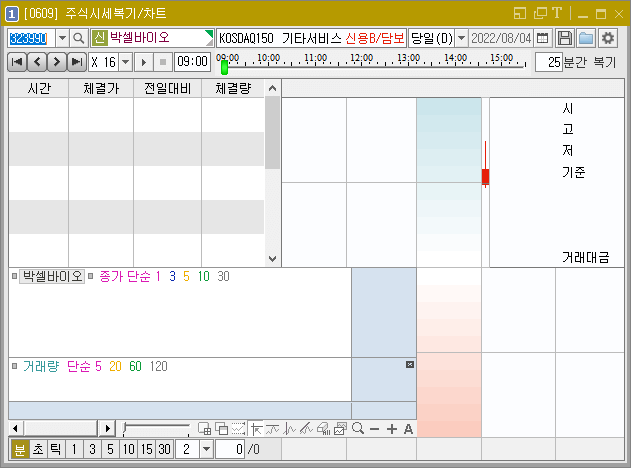 주식 시세 복기 차트