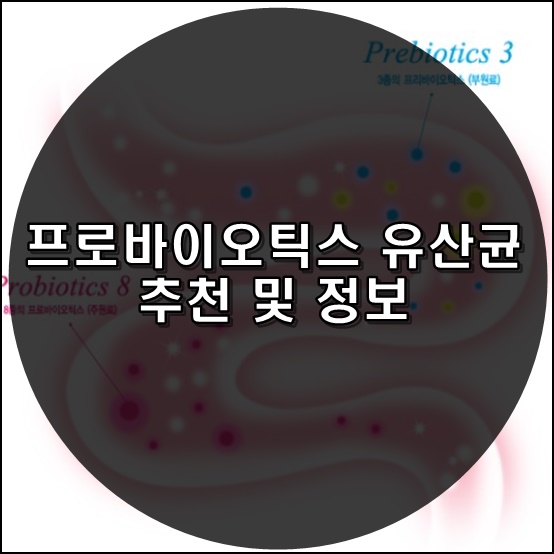  프로바이오틱스 유산균 추천 및 정보