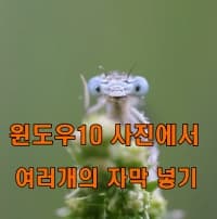  윈도우10 사진앱에서 많은 자막 넣기