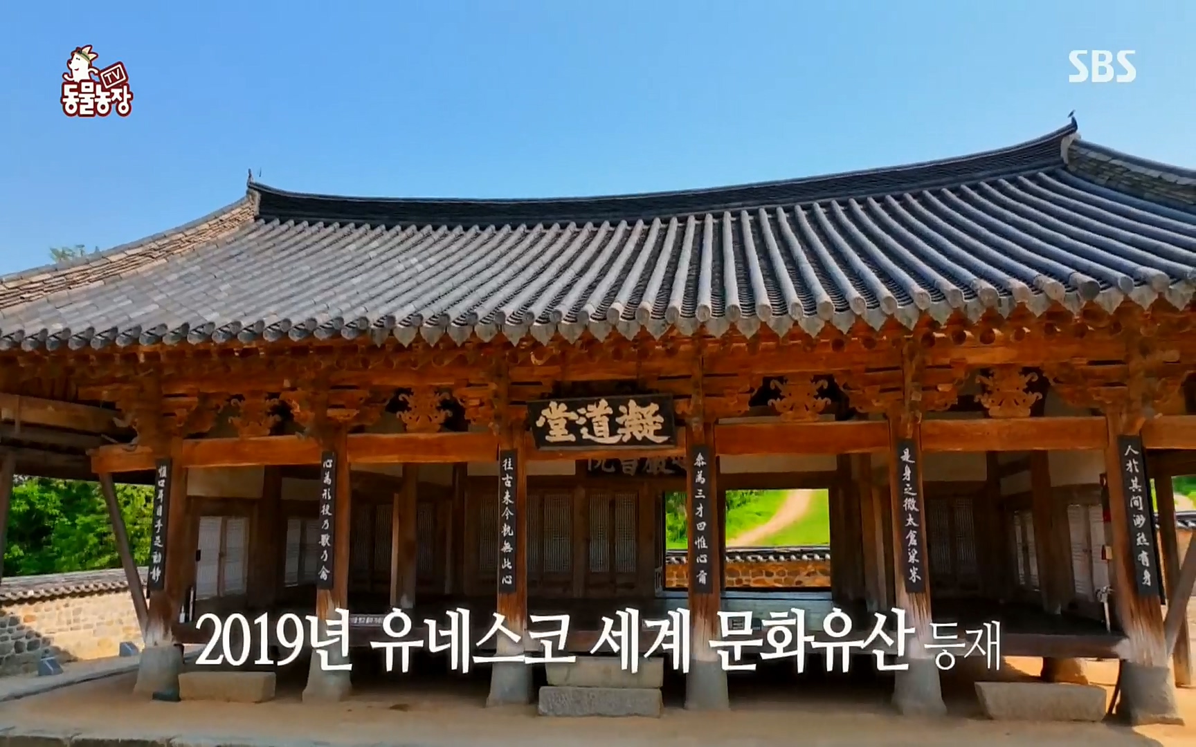 TV 동물농장.E1074.220619p.H264-F1RST.mp4_20220619_182537.053.jpg