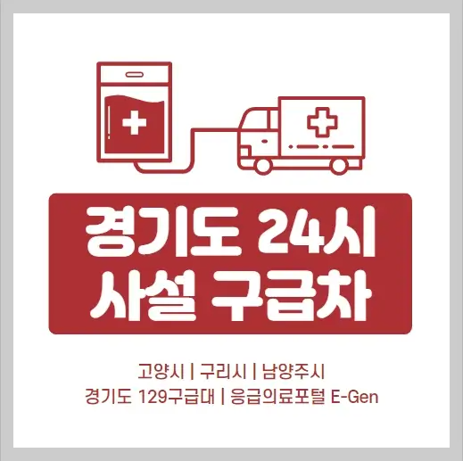 고양시-구리시-남양주시-24시-사설구급차-운영기관