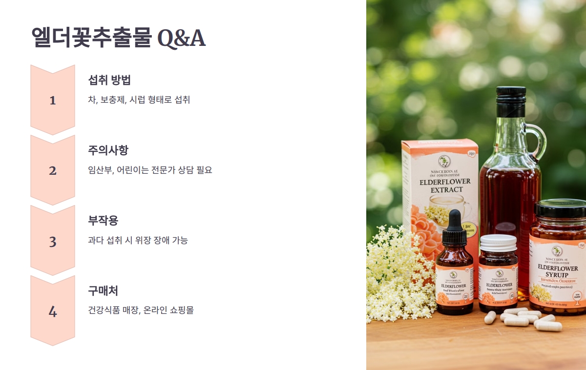 엘더꽃추출물 효능