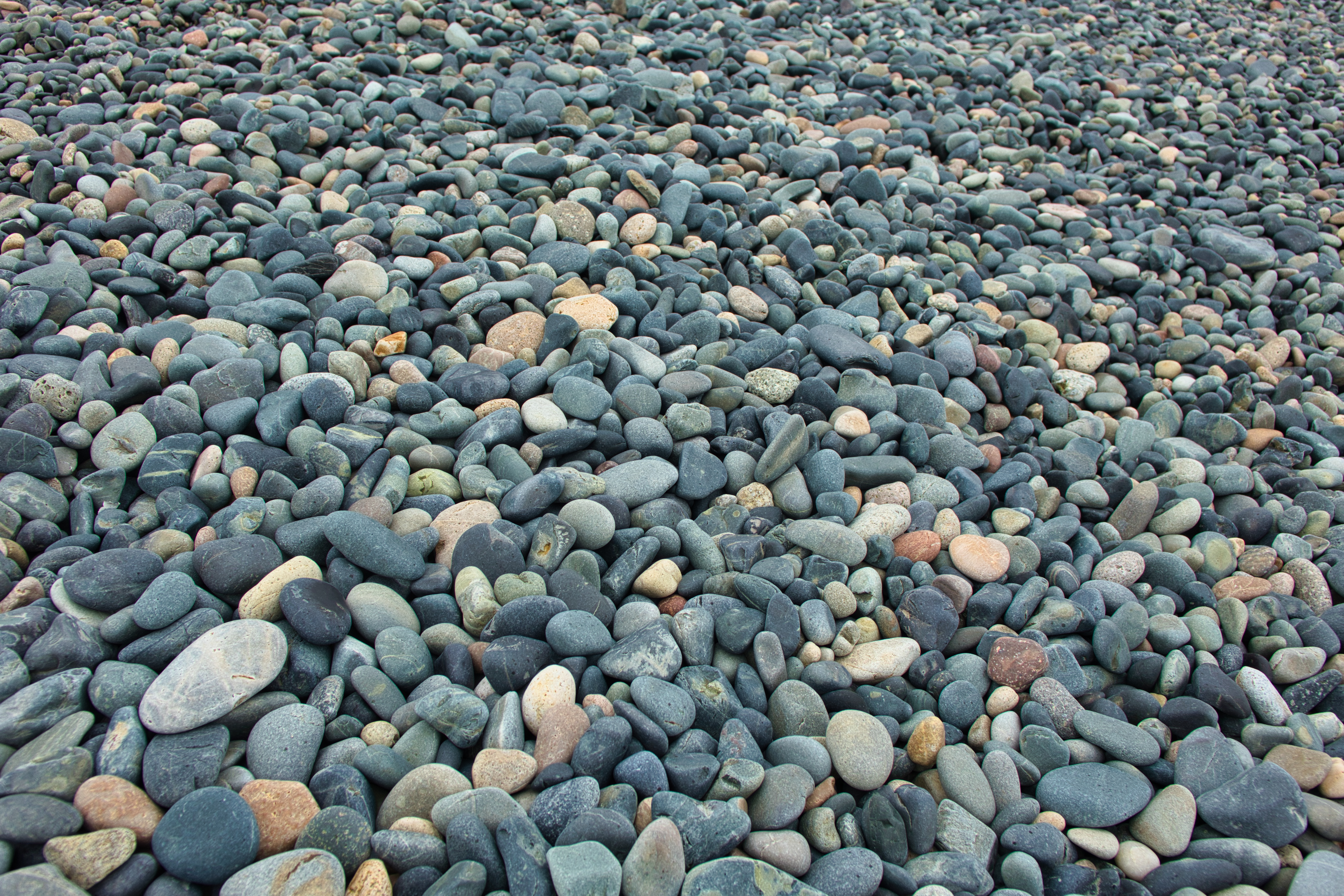 img.jpg