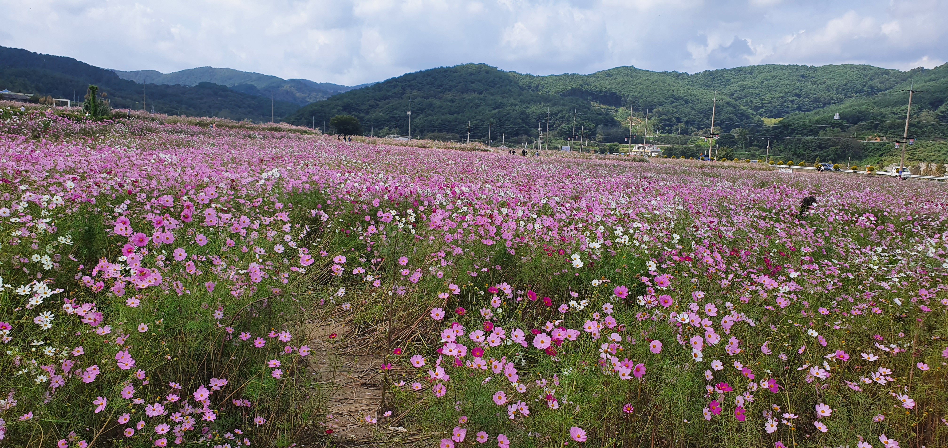 보리밥이야기 이미지