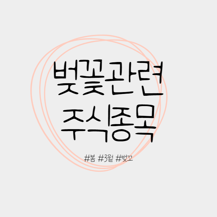 영진관광여행사 이미지