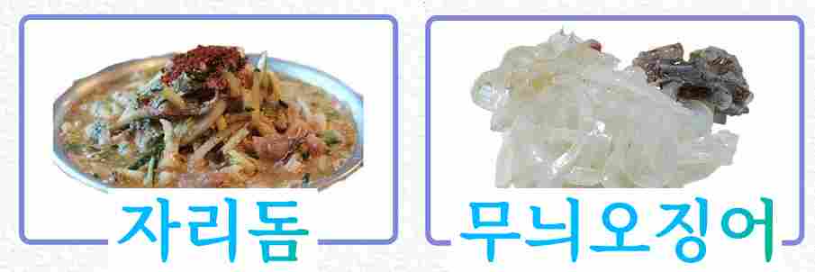 자리돔-무늬오징어-사진