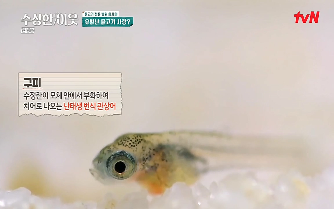 수상한 이웃.E04.220422p-NEXT.mp4_20220424_191247.250.jpg