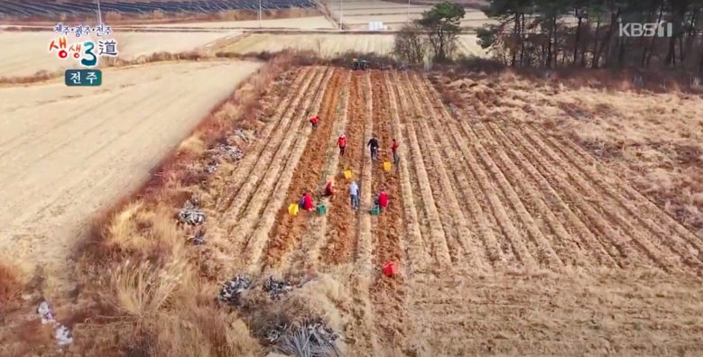 네모세모 마누룽지 마누룽지국수 햇마 마가루 파는 곳 전국 택배 주문 전화 판매