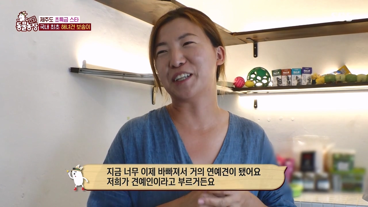 TV 동물농장.E1134.230821p-NEXT.mp4_20230820_191140.334.jpg