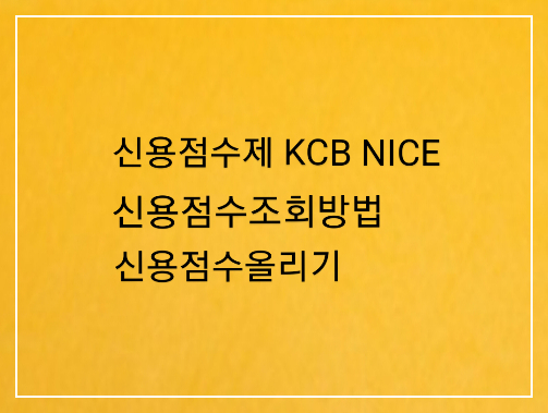 신용점수제KCB NICE 신용점수조회방법신용점수올리기