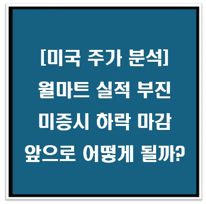[미국 주가 분석] 월마트 실적 부진 미증시 하락 마감
앞으로 어떻게 될까? 이미지