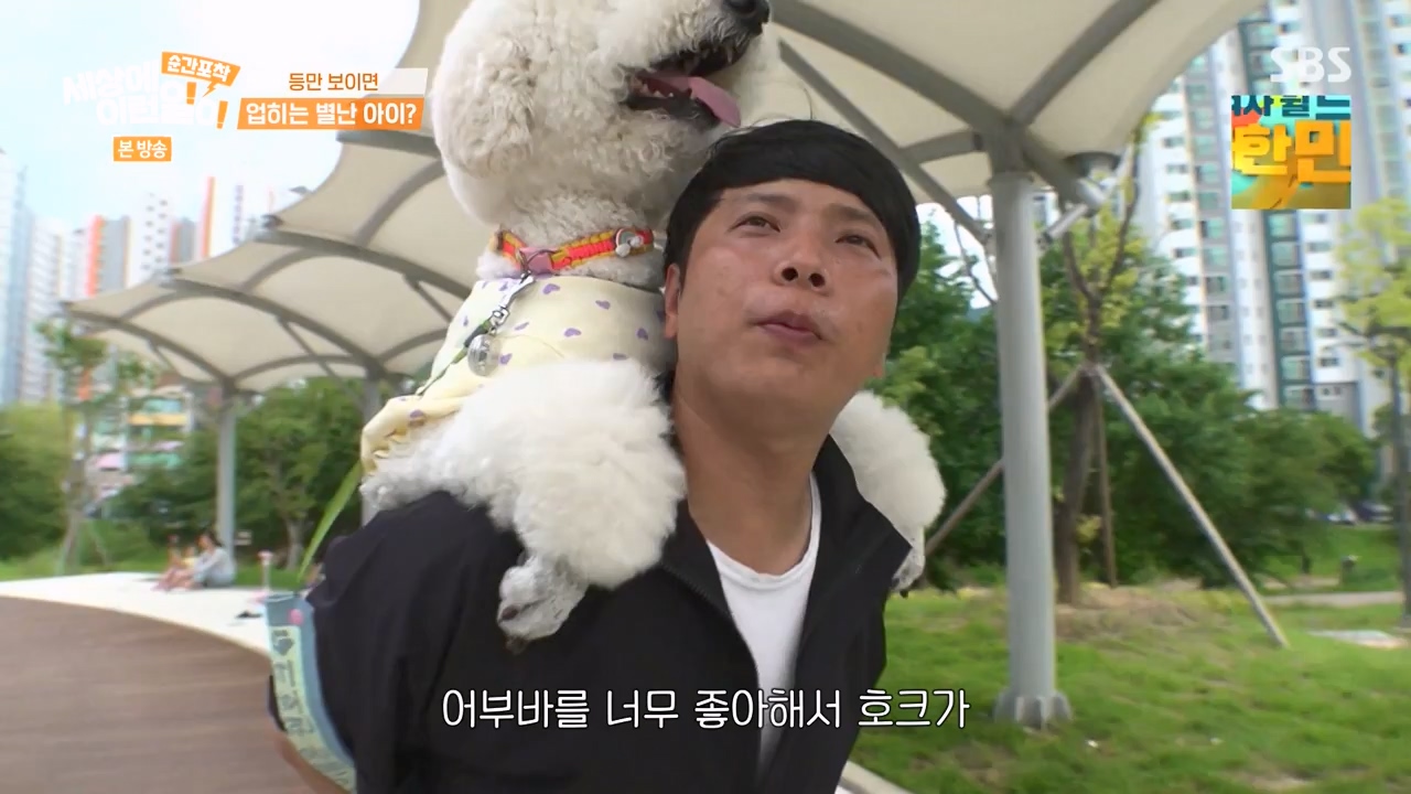 순간포착 세상에 이런일이.E1238.230723p-NEXT.mp4_20230724_205439.605.jpg