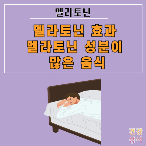 멜라토닌 효과 멜라토닌 성분이 많은 음식