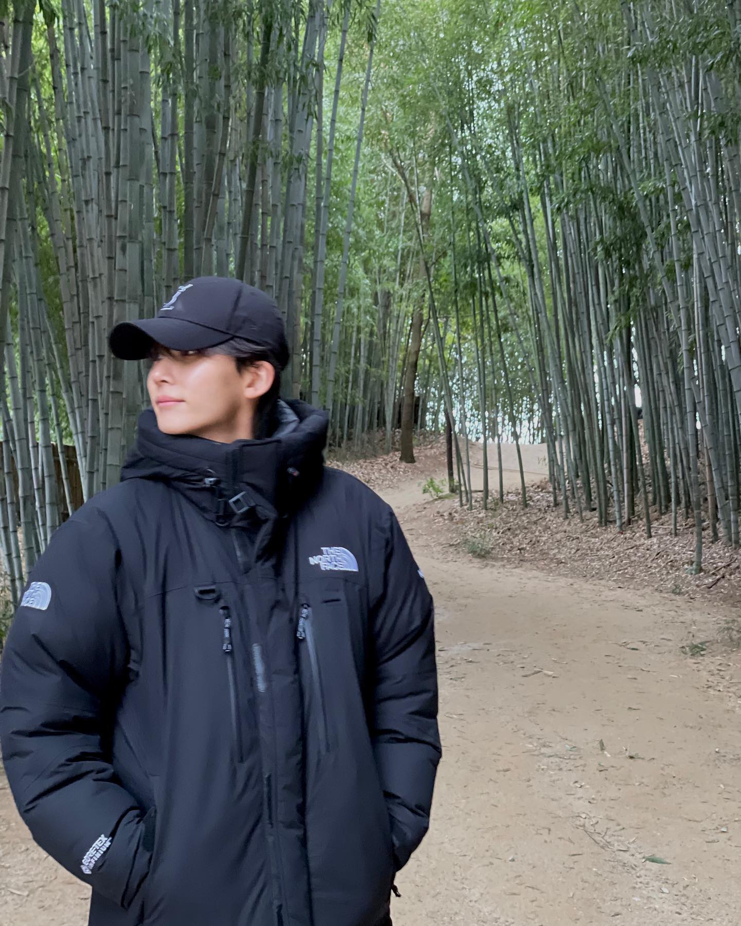 정한인스타대나무길산책