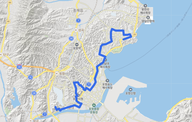  [포항] 216번 버스 노선, 시간표 : 양덕동, 롯데백화점, 죽도시장, 성모병원