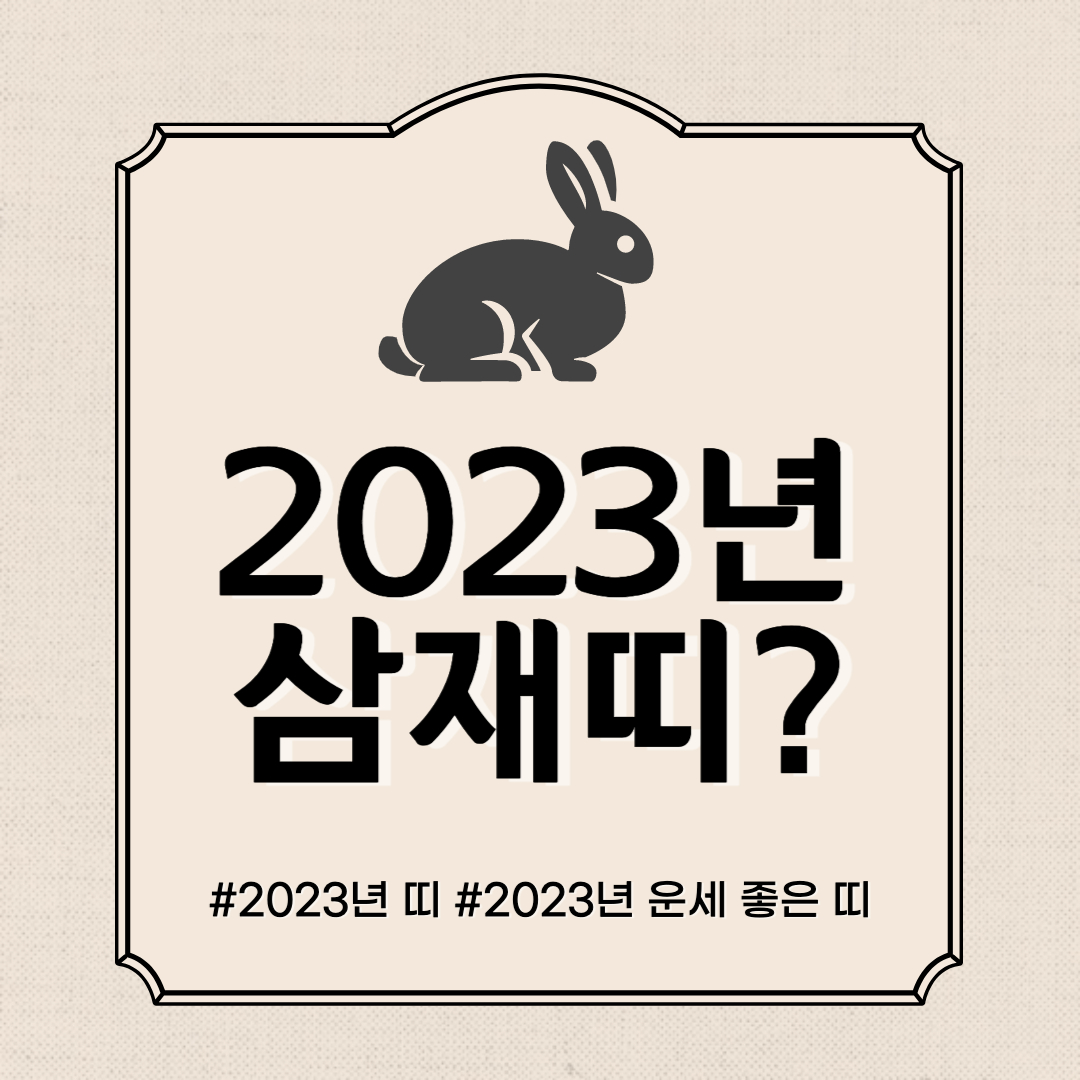 2023년 띠&#44; 삼재띠 검은 토끼