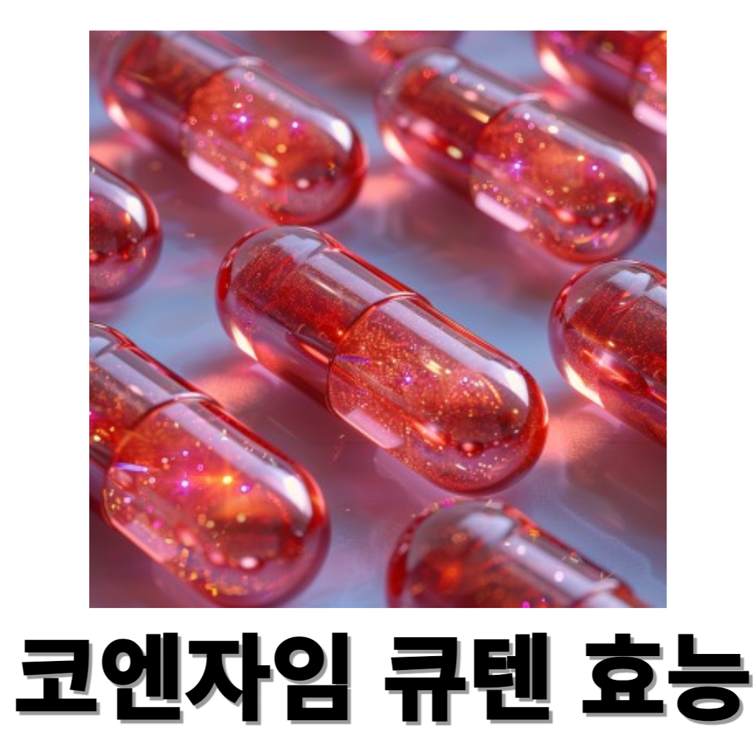 코엔자임 큐텐과 관련된 사진입니다.