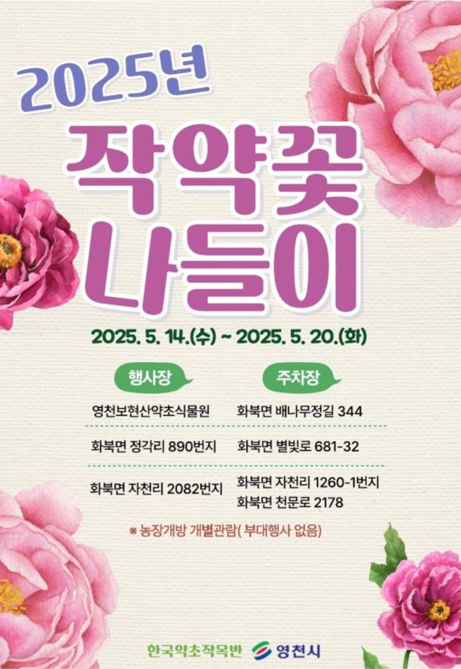 영천에서 만나는 봄의 절정, 작약꽃축제 완전정복