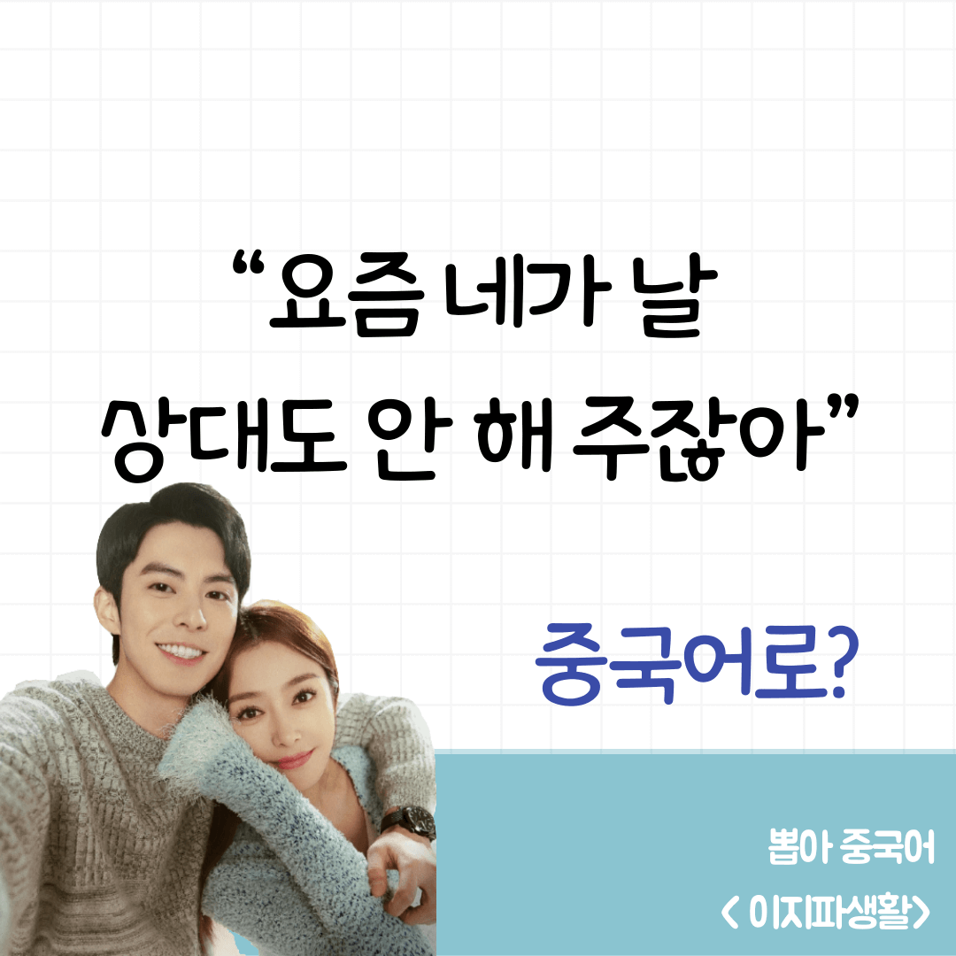 이지파생활