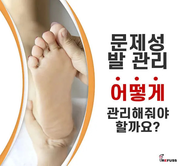 레푸스 익산모현점