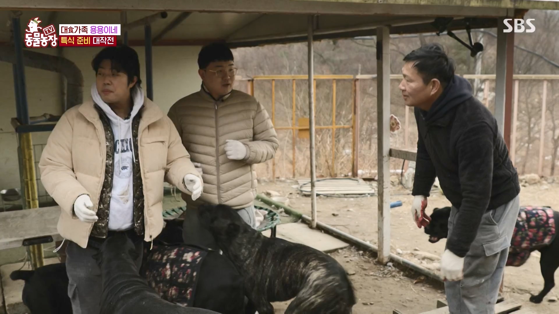 TV 동물농장.E1162.240310p-NEXT.mp4_20240310_162859.414.jpg