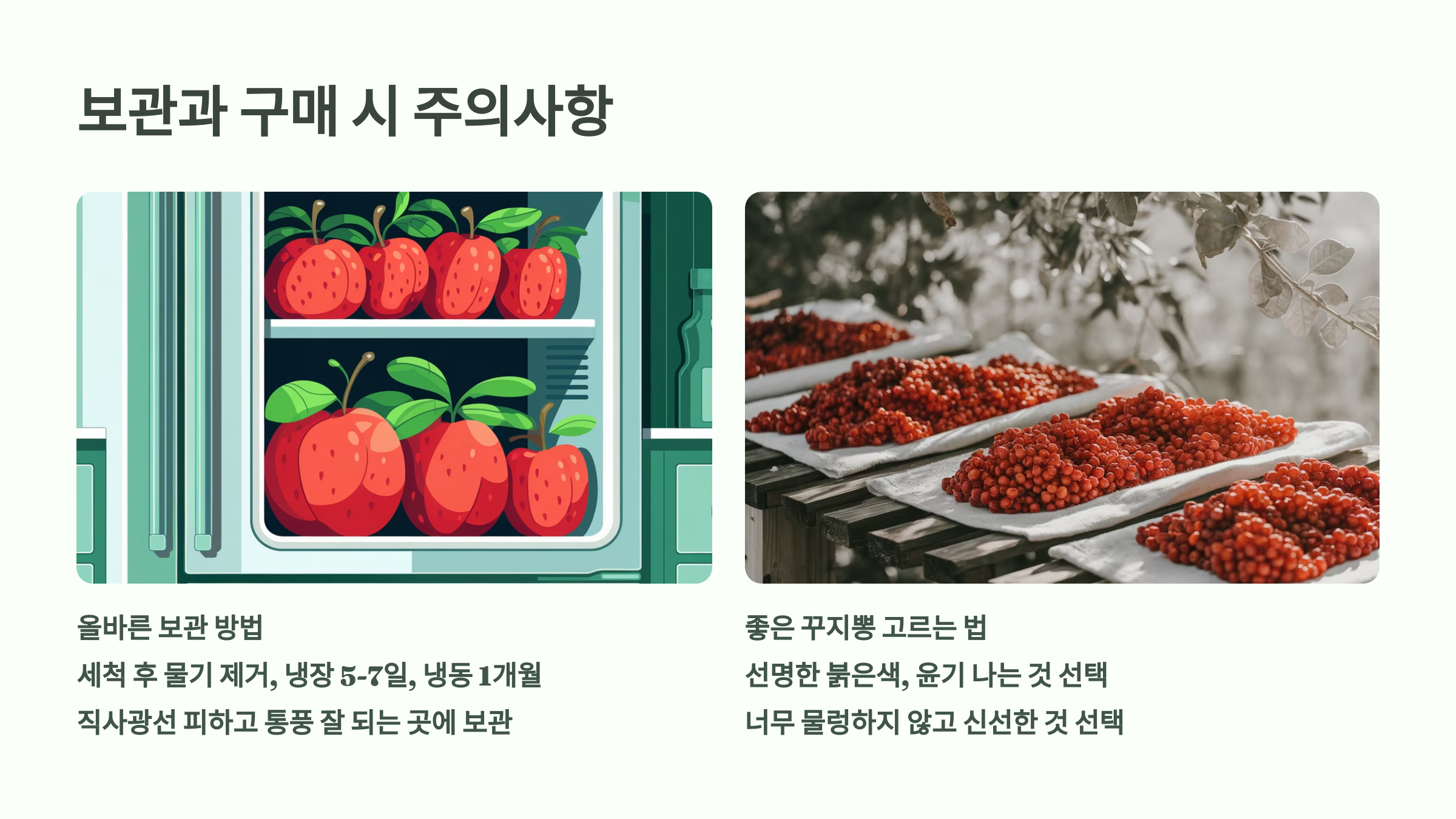 보관과 구매 시 주의사항을 설명한 PPT 이미지