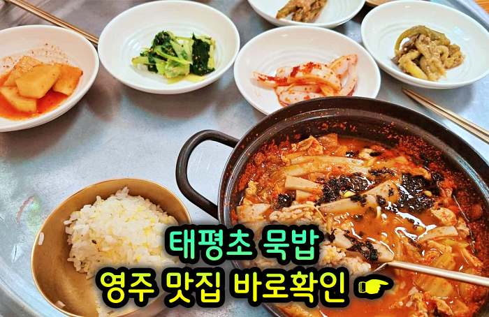 6시 내고향 경북 영주 메밀묵 돼지고기 얼큰 양념 찌개 태평초 맛집